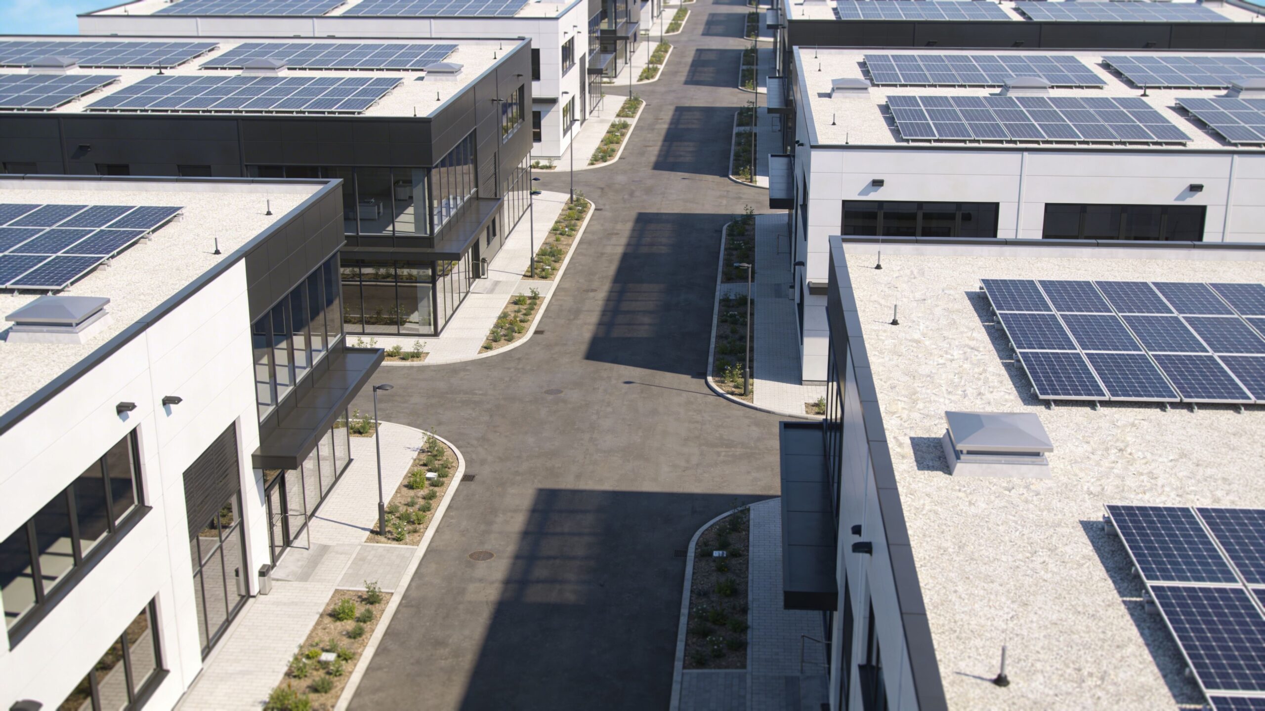 How Much Does Solar Cost for a Business? Full Pricing Guide